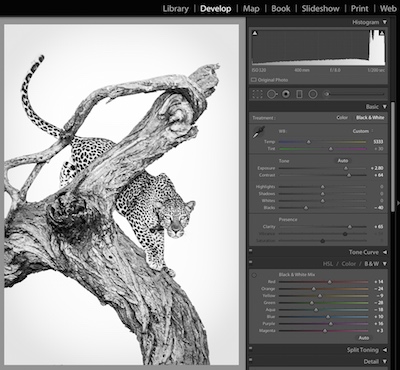 editing black and white photos in lightroom