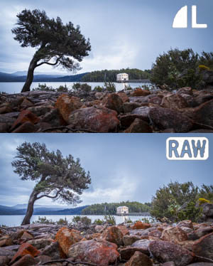 Shoot raw rather than jpg to be able to lift our shadows and pull back highlights later