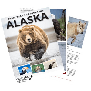 Alaska photo tour brochure