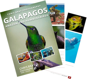 Download Galapagos Amazon Hummingbird Tour Brochure