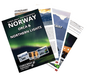 Orca Northern Lights Norway photo tour brochure