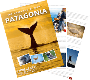 Patagonia photo tour brochure
