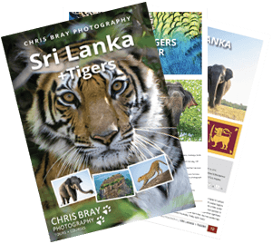 Download Sri Lanka + Tigers Tour Brochure