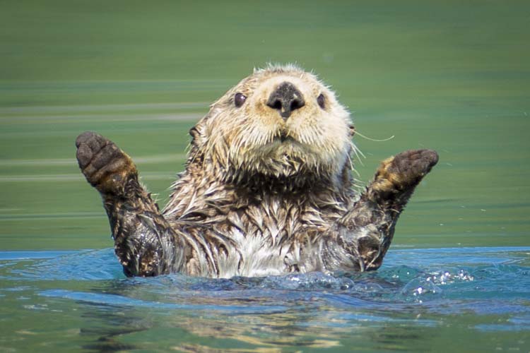 alaska photo tour example 