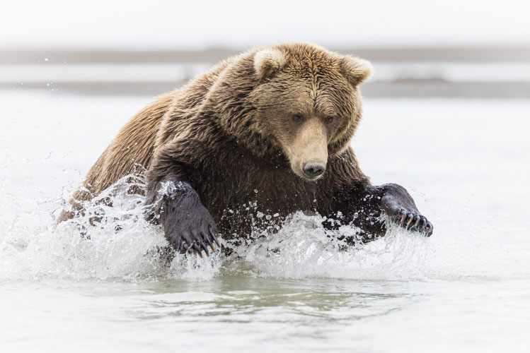 alaska photo tour example 