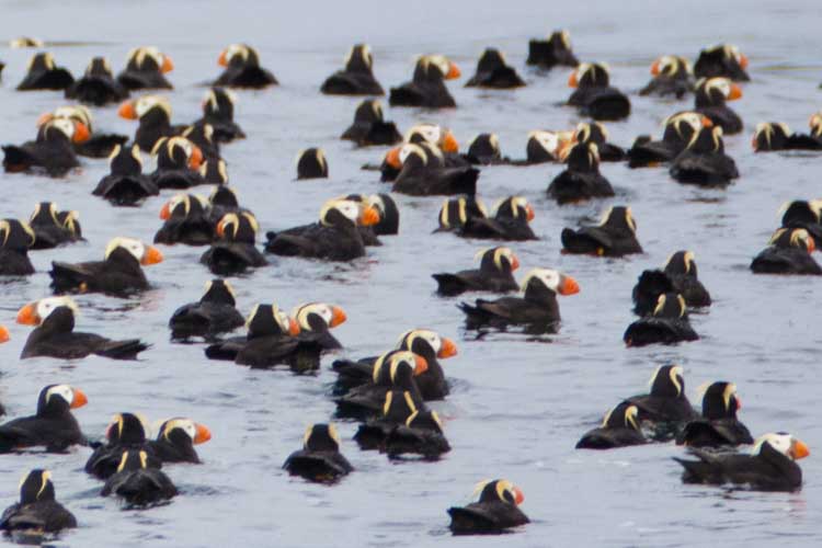 alaska photo tour example 