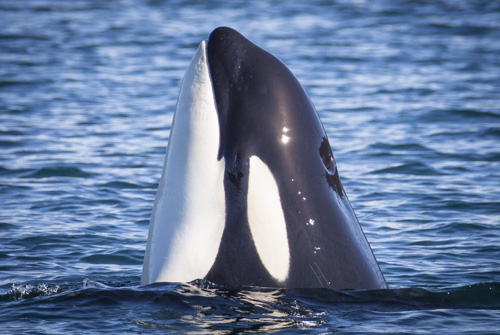 alaska photo tour example 