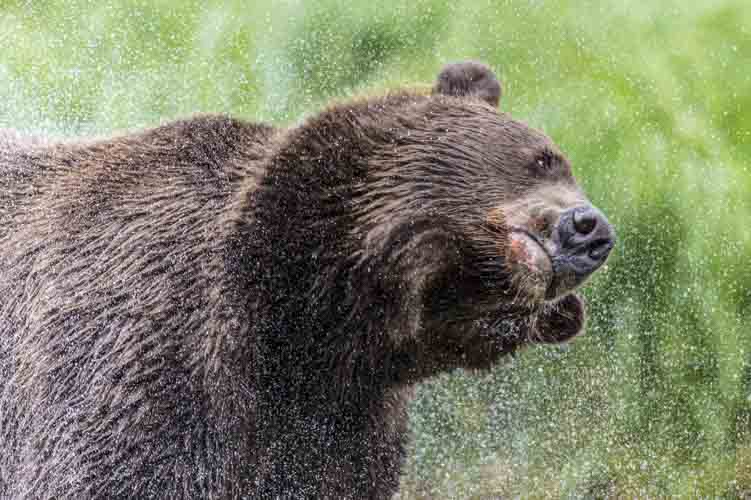 alaska photo tour example 