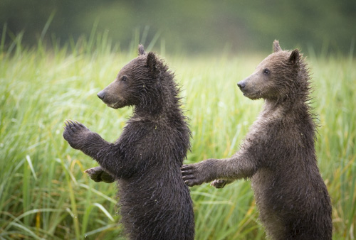 alaska photo tour example 