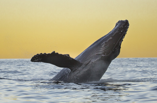 alaska photo tour example 