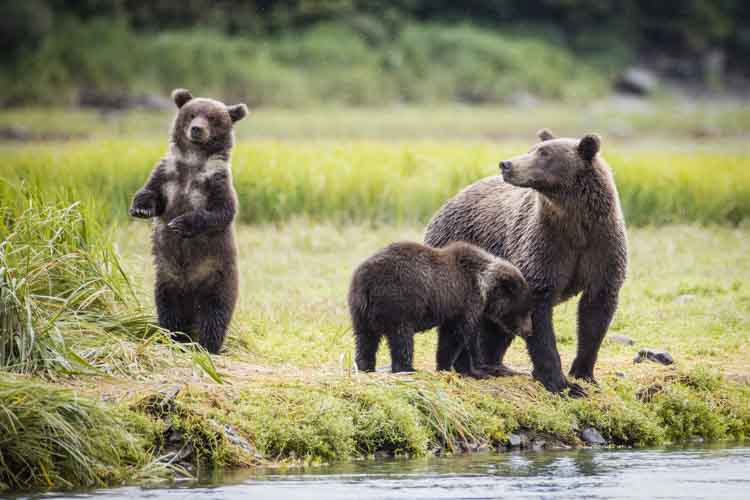 alaska photo tour example 