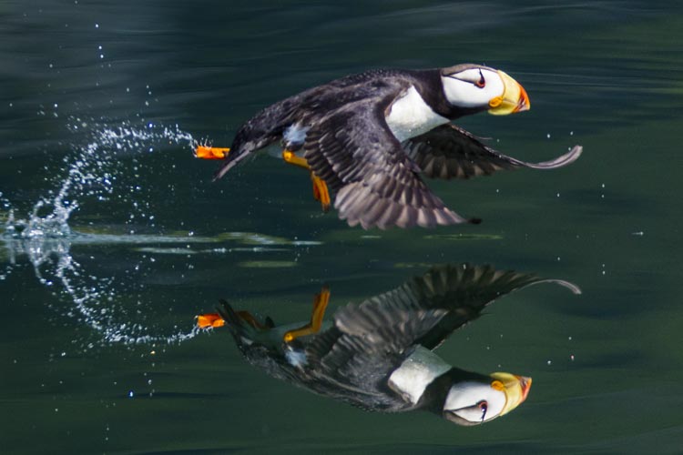 alaska photo tour example 