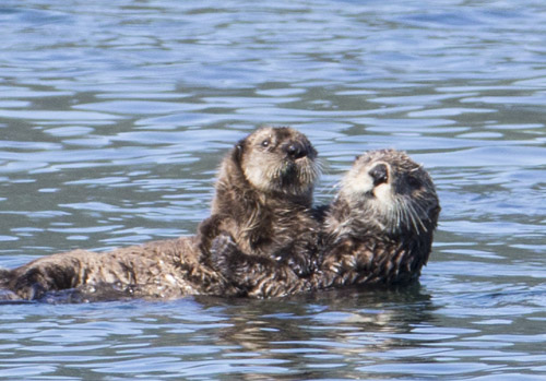 alaska photo tour example 