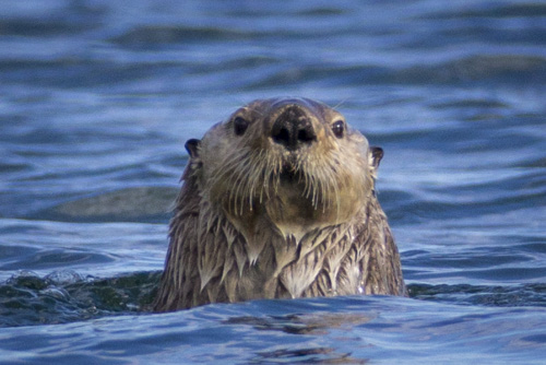 alaska photo tour example 