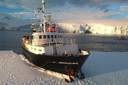 Antarctica photo tour example 21