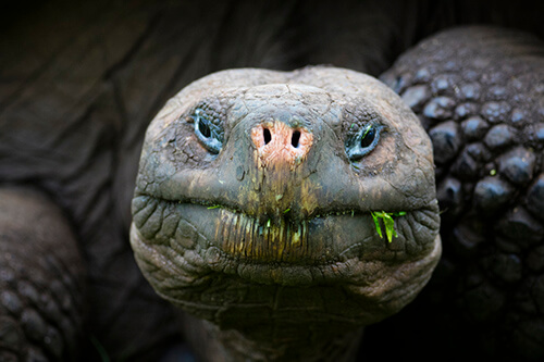 galapagos amazon photo tour example 25