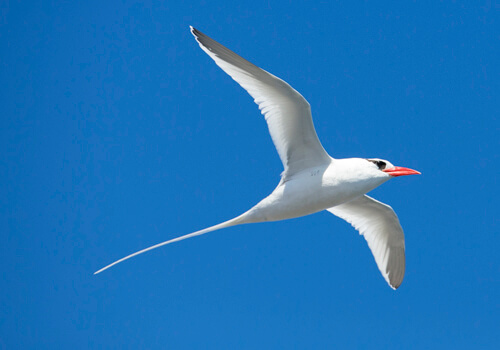 galapagos amazon photo tour example 34