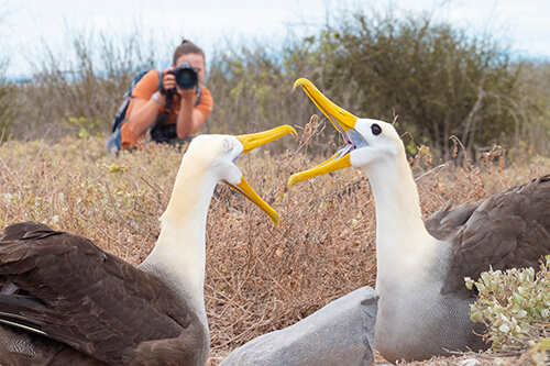 galapagos amazon photo tour example 38