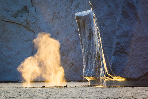 iceland greenland photo tour example 6