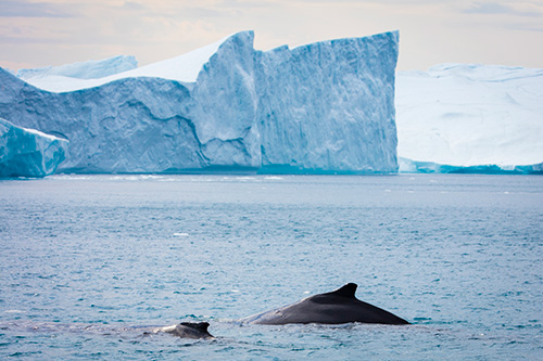 iceland greenland photo tour example 16