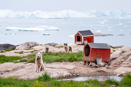 iceland greenland photo tour example 25