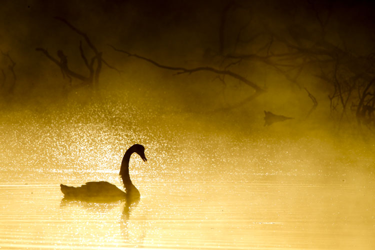 kangaroo island photo tour example 14