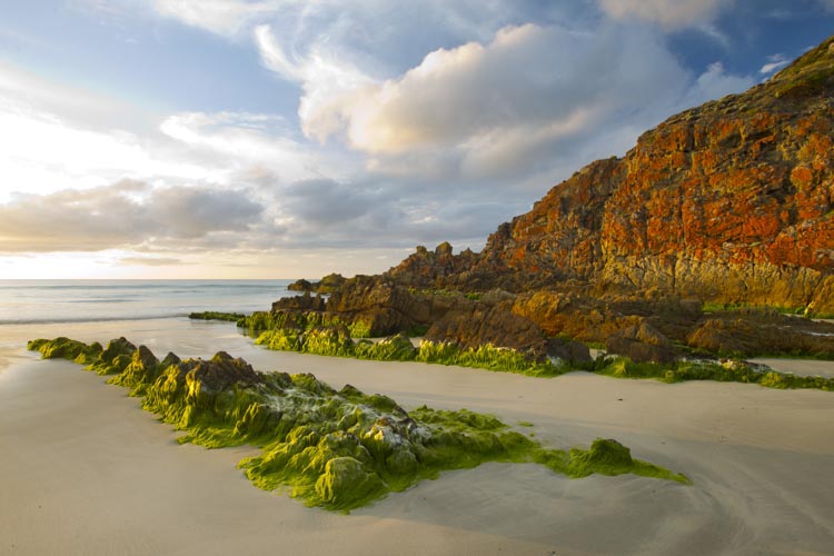 kangaroo island photo tour example 18