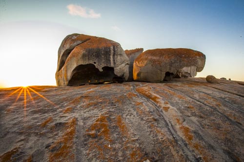 kangaroo island photo tour example 37