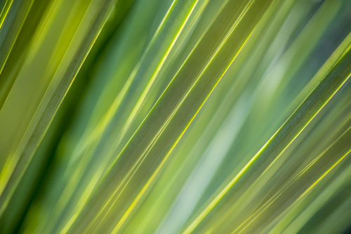 kangaroo island photo tour example 39