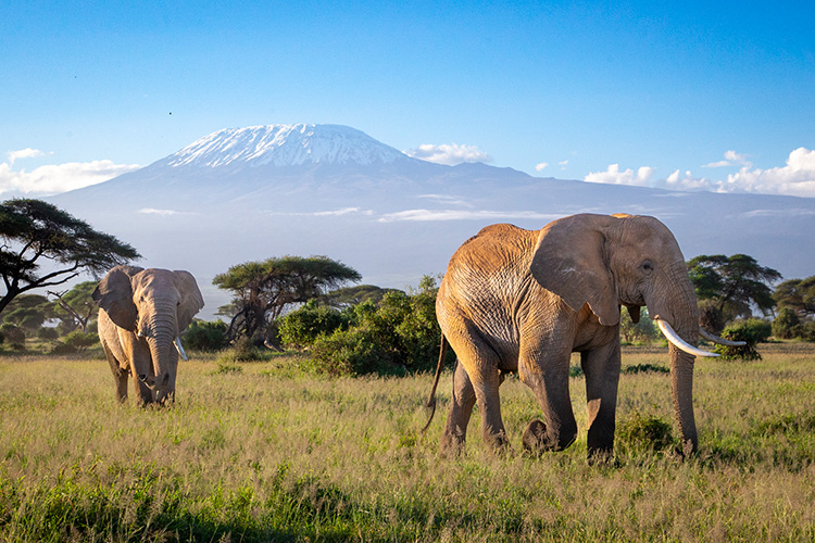 kenya photo tour example 6