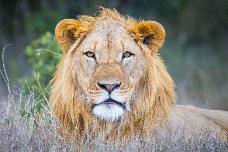 kenya photo tour example 7