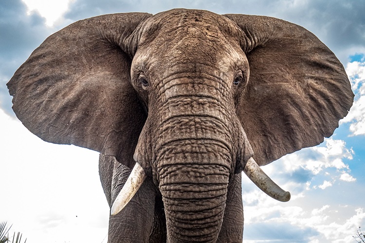 kenya photo tour example 10