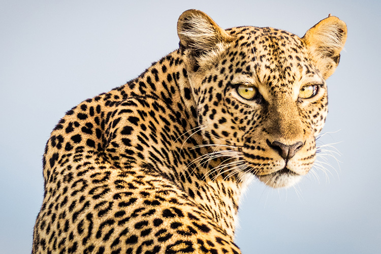 kenya photo tour example 12