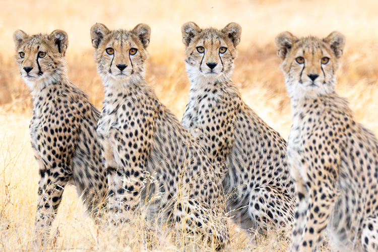 kenya photo tour example 16