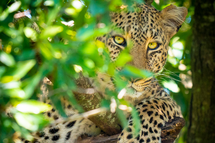 kenya photo tour example 17