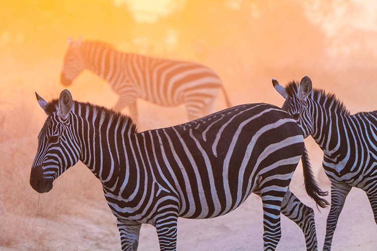 kenya photo tour example 20