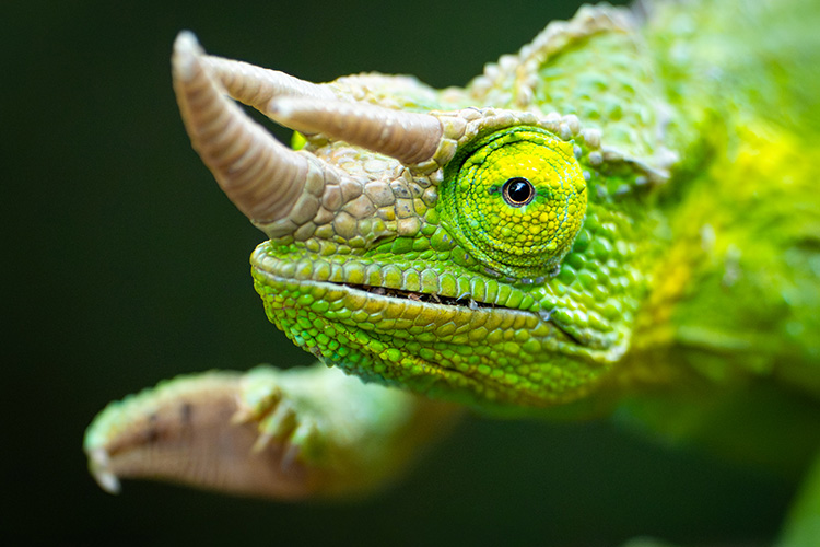 kenya photo tour example 21