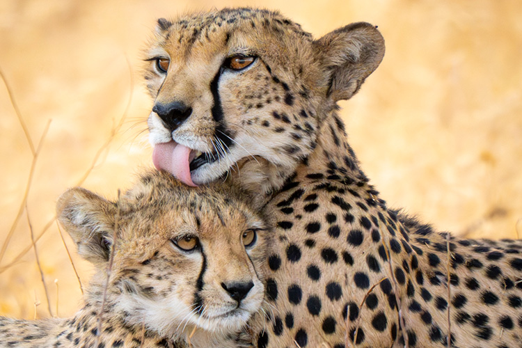 kenya photo tour example 25