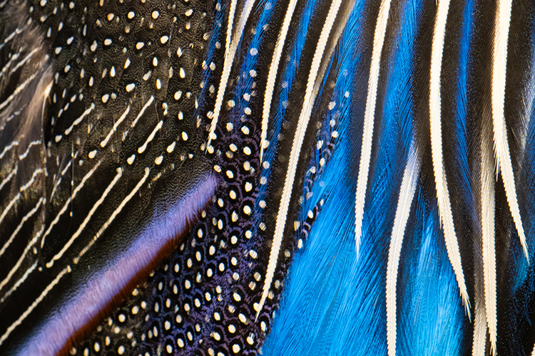 kenya photo tour example 26