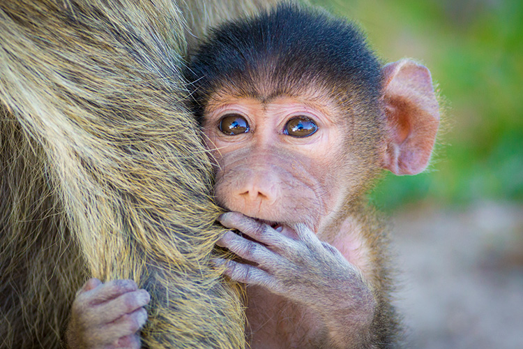 kenya photo tour example 32