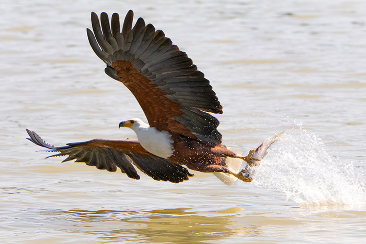 kenya photo tour example 34