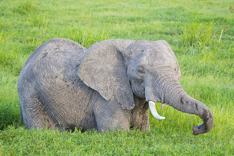 kenya photo tour example 35