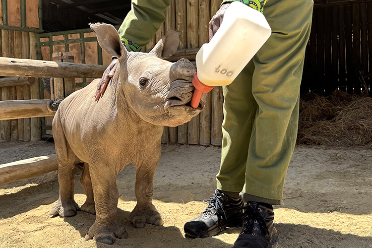 kenya photo tour example 36