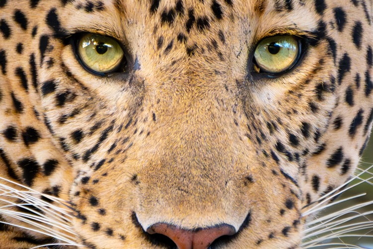 kenya photo tour example 38