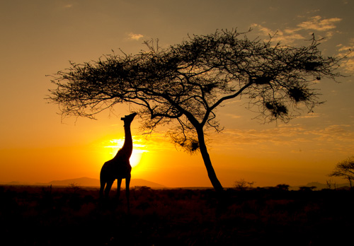 kenya photo tour example 42