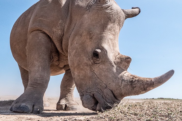 kenya photo tour example 43