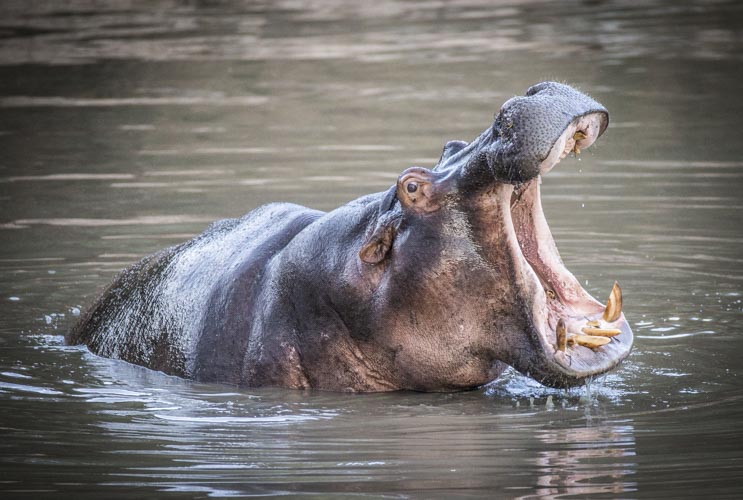 kenya photo tour example 44