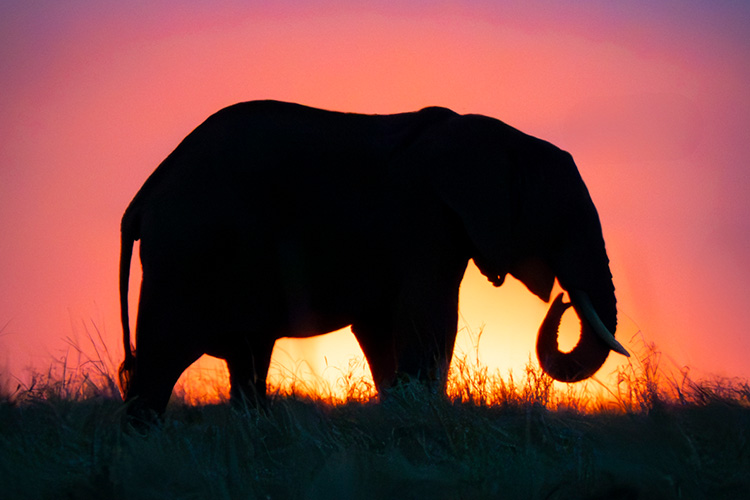 kenya photo tour example 46