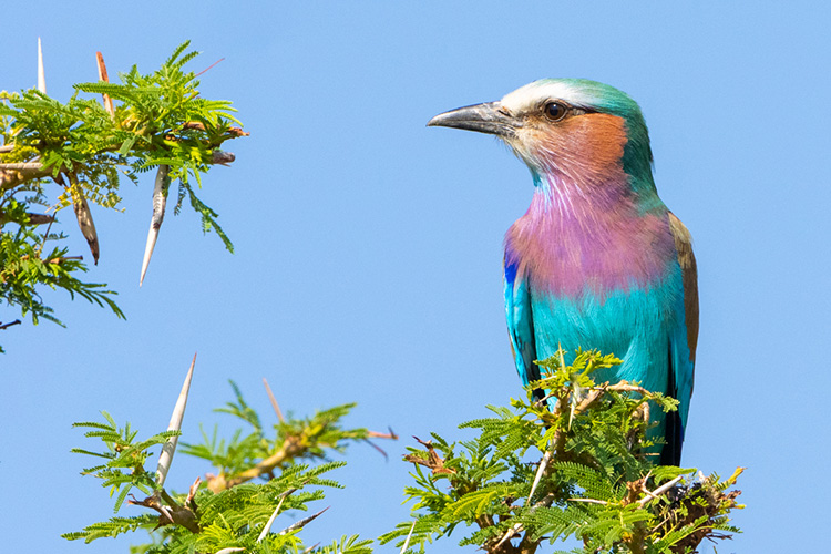 kenya photo tour example 49