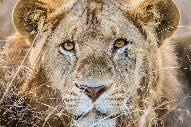 kenya photo tour example 51